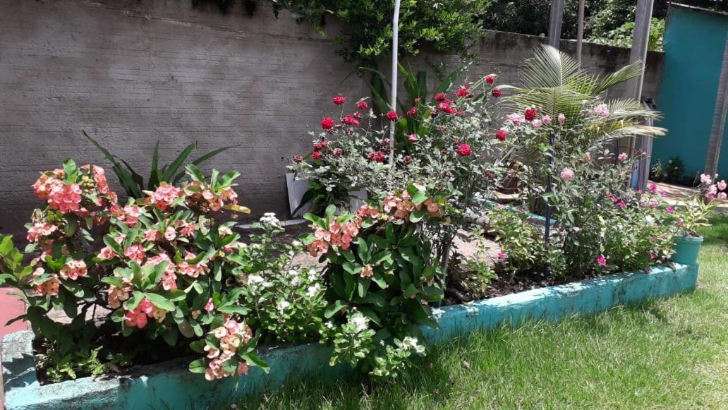 Pousada Tropicaliente Alter do Chao Zewnętrze zdjęcie