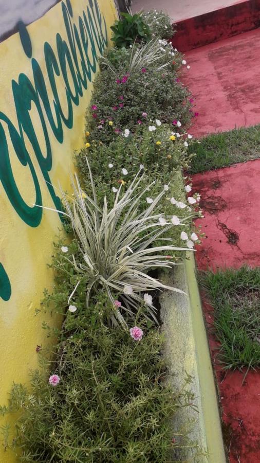 Pousada Tropicaliente Alter do Chao Zewnętrze zdjęcie